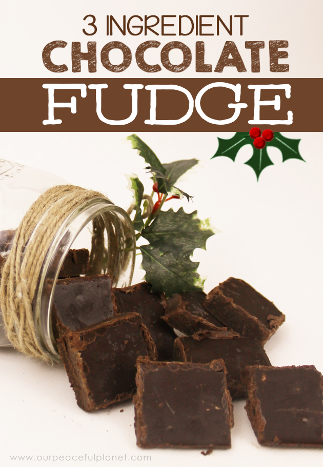 This is the creamiest quickest 3 ingredient healthy chocolate fudge recipe ever! Makes a great gift for the holidays or better yet just eat it all yourself!