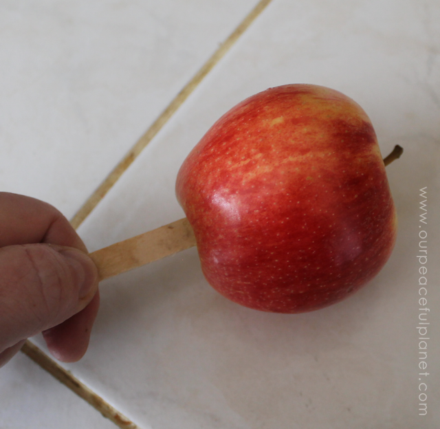 Our Simple Healthy Candy Apple Recipe is quick fall treat that you can feel good about eating and giving the kids. All it takes is apples, dates and nuts!