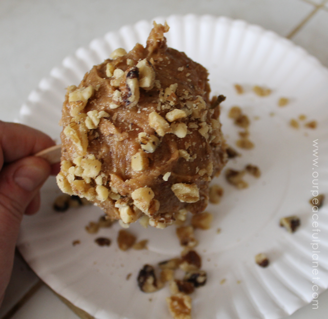 Our Simple Healthy Candy Apple Recipe is quick fall treat that you can feel good about eating and giving the kids. All it takes is apples, dates and nuts!