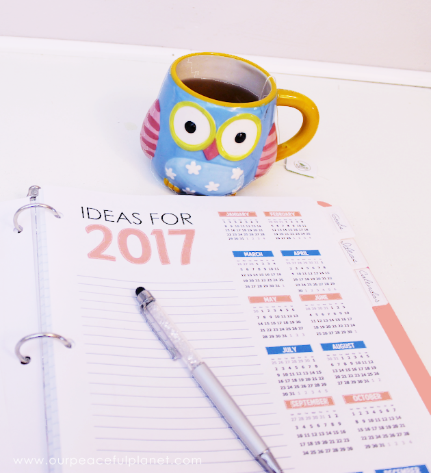 Rethink your resolutions this year with our free New Years Resolution Ideas Kit featuring Casual Resolutions, the fun no stress way to set goals!
