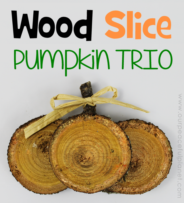 If you're looking for quick DIY Fall decorations these cute little rustic pumpkins are perfect! Make a set in minutes from wood slices. A wonderful gift!